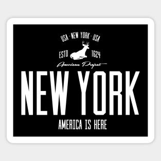 USA, America, New York Magnet